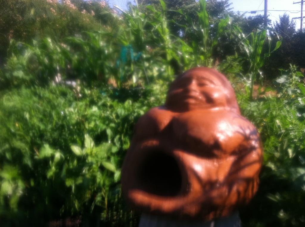 Hotel Hobbit Hut Geyserville Esterno foto